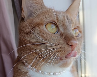 Pearl cat collar,Real pearl kitten pet necklace,Beaded small dog collar,Luxury cute crystal cat collar,Cat clothes,Cat pearl jewelry