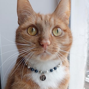 Blue beaded boy cat dog necklace,Cute crystal kitten collar,Beaded small dog collar,Cat clothes,Luxury beaded cat pet jewelry collar gifts