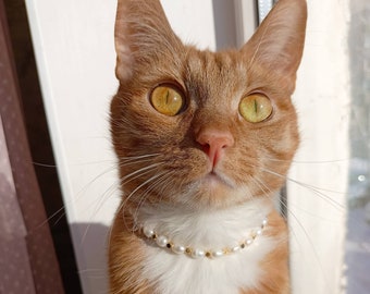 Gold cat collar,Real pearl cat necklace,Beaded small dog collar,Luxury cute cat collar,Gold cat necklace,Cat jewelry