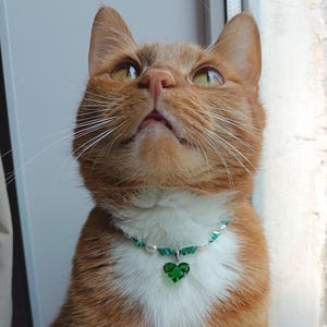 Green heart crystal cat necklace,Real pearl dog collar,Beaded small dog collar,Cute kitten collar,Cat accessories,Luxury cat jewelry collar