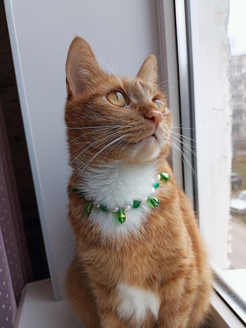 Green crystal cat collar, Real pearl pet necklace, Beaded dog collar, Luxury cute cat collar, Cat clothes accessories, Pearl cat jewelry gifts