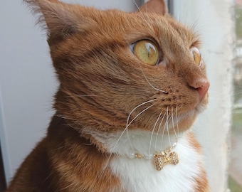 Elegant gold cat necklace,Real pearl dog collar,Bone crystal pet necklace,Beaded small dog collar,Luxury gold pearl cat dog jewelry collar