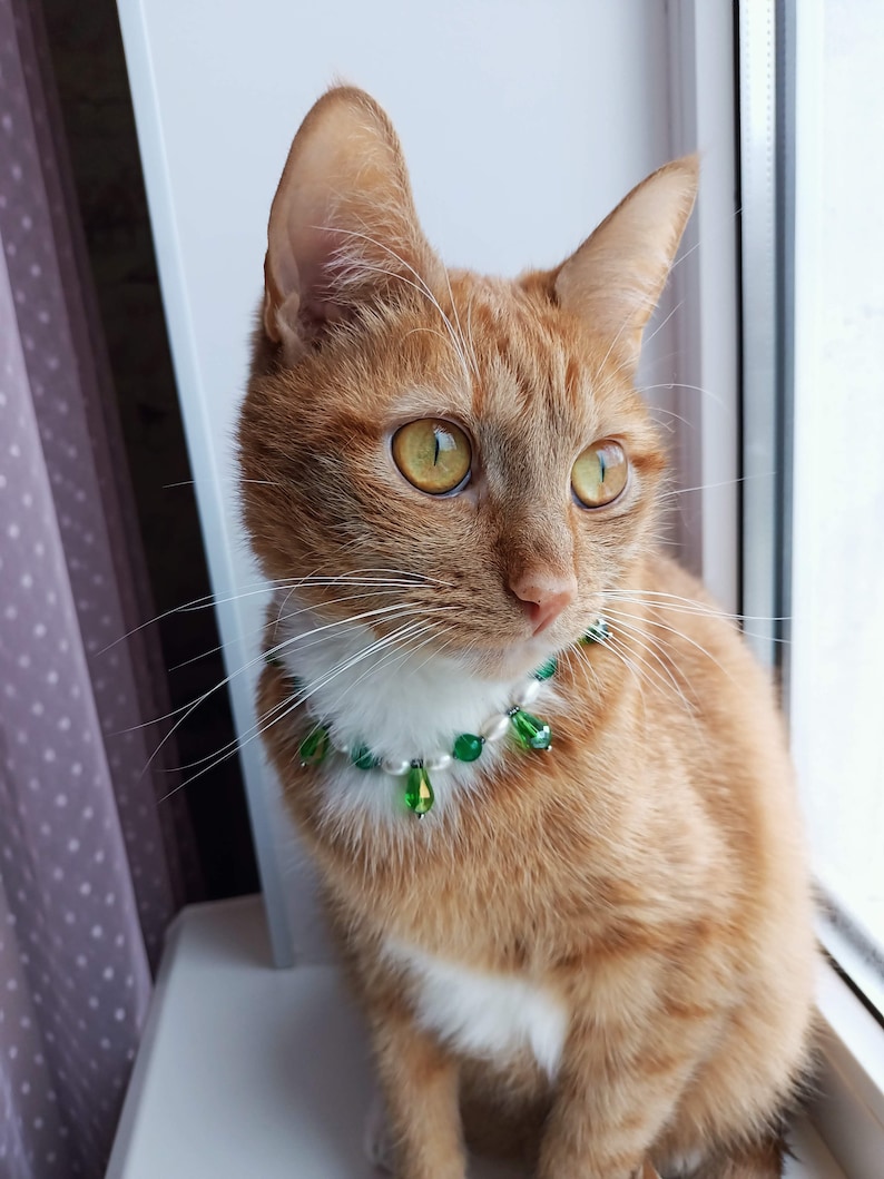 Green crystal cat collar, Real pearl pet necklace, Beaded dog collar, Luxury cute cat collar, Cat clothes accessories, Pearl cat jewelry gifts