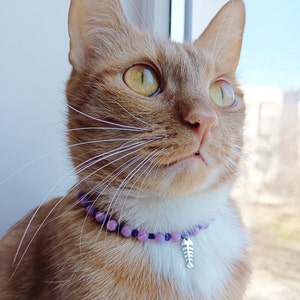 Beaded kitten collar,Natural mother of pearl cats jewelry,Cute purple cat collar,Small dog pet tag necklace,Luxury crystal beaded cat collar