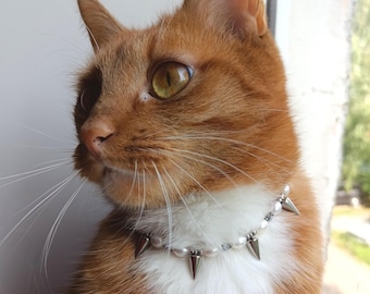 May include: An orange tabby cat wearing a pearl and silver spike collar. The cat has green eyes and white fur on its chest. The collar features small pearls and silver spikes.