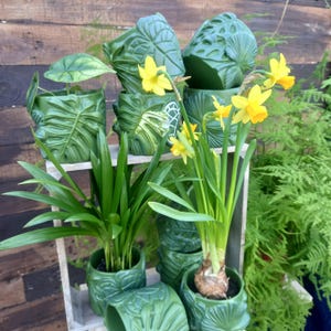 Tropical planter