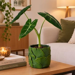 May include: An Alocasia plant with dark green, arrow-shaped leaves featuring prominent white veins, potted in a cylindrical green ceramic planter decorated with a textured, overlapping ginkgo leaf pattern on the exterior surface.