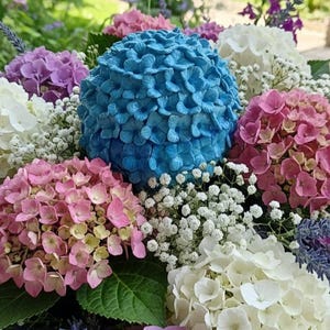 Peut inclure: Un arrangement floral vibrant avec une hortensia bleu sphérique au centre, entouré d'hortensias roses, violets et blancs. Du gypsophile blanc délicat ajoute de la texture. Des feuilles vertes transparaissent, créant un affichage naturel et attrayant.