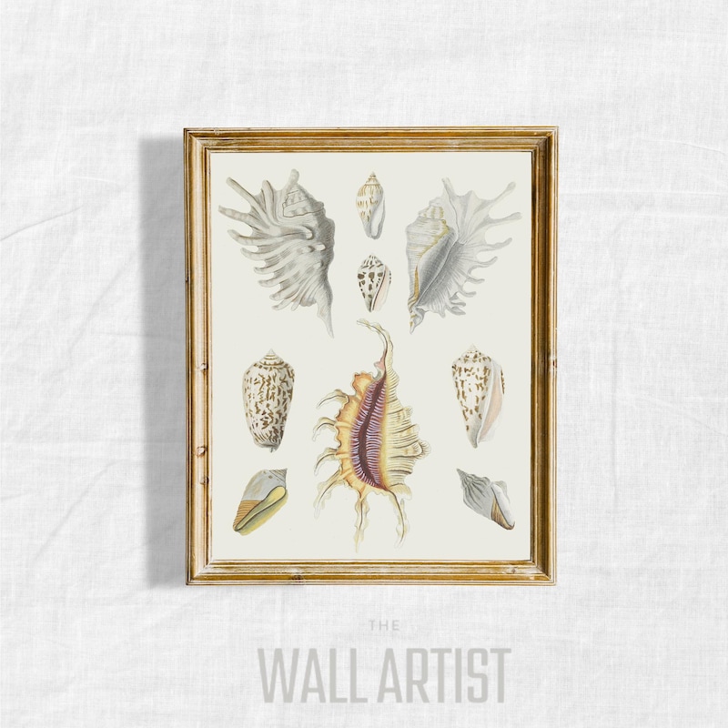 Vintage Seashell Art - Etsy
