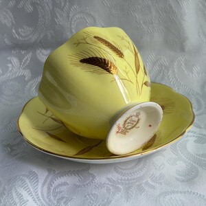 Queen Anne Fine Bone China Teacup Saucer – Wheat Pattern, Made England bild 17