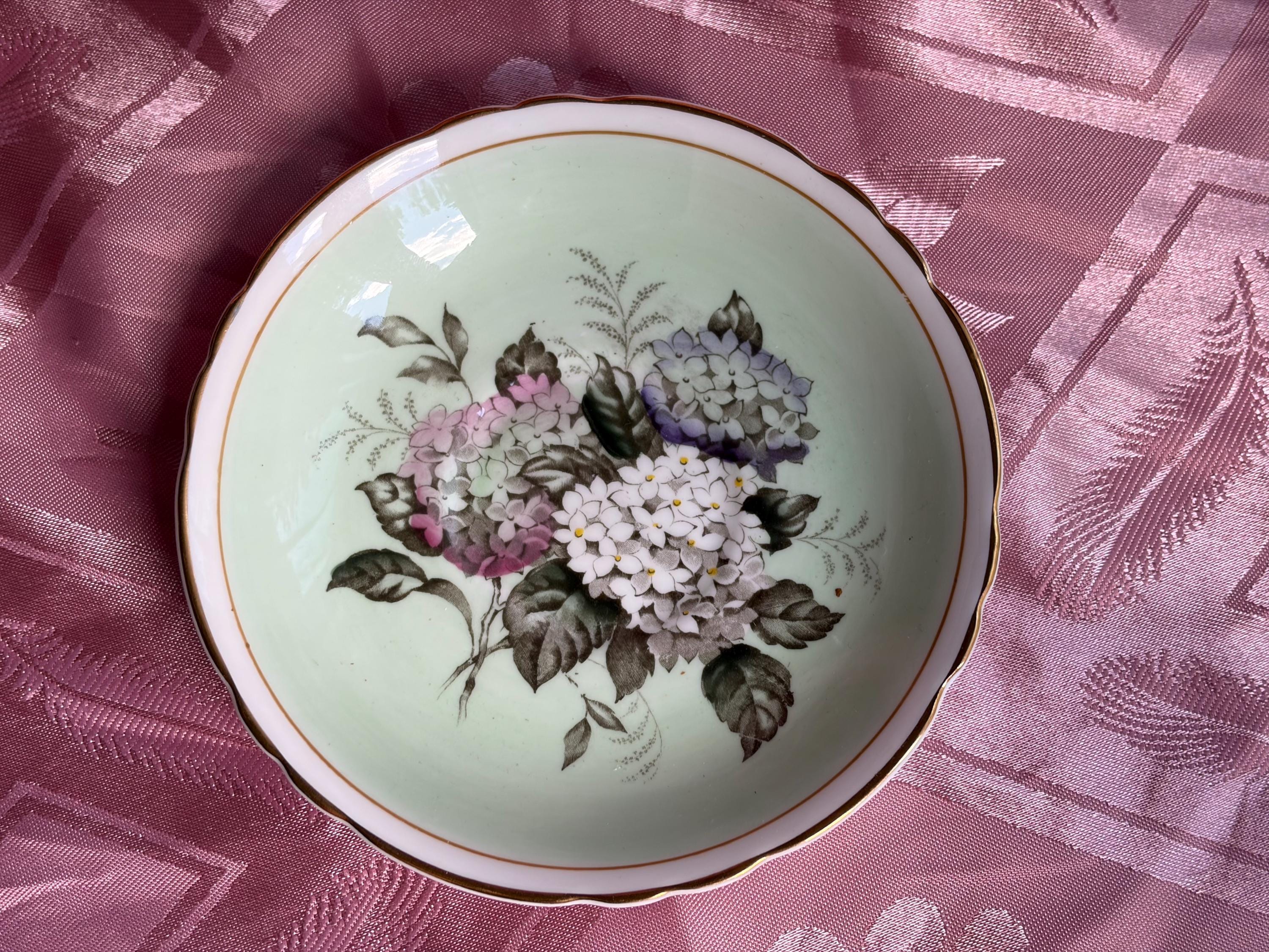 Rare Vintage Paragon Hydrangea Teacup & Saucer – Fine Bone China England
