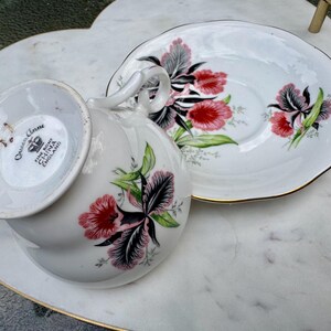 Puede incluir: Un juego de taza y platillo blancos con un dise&ntilde;o floral. La taza y el platillo est&aacute;n decorados con flores rojas, rosas y negras con hojas verdes. El juego tiene ribete dorado y se ven las palabras "Queen Anne Fine Bone China England".