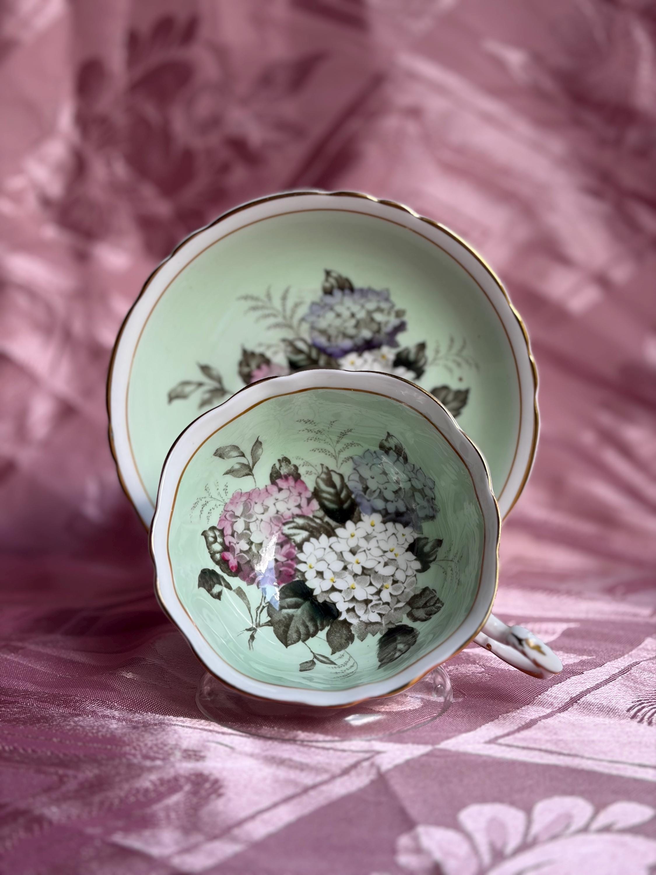 Rare Vintage Paragon Hydrangea Teacup & Saucer – Fine Bone China England