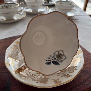 May include: A white teacup and saucer with a gold rim and a floral design. The saucer has a gold floral pattern.