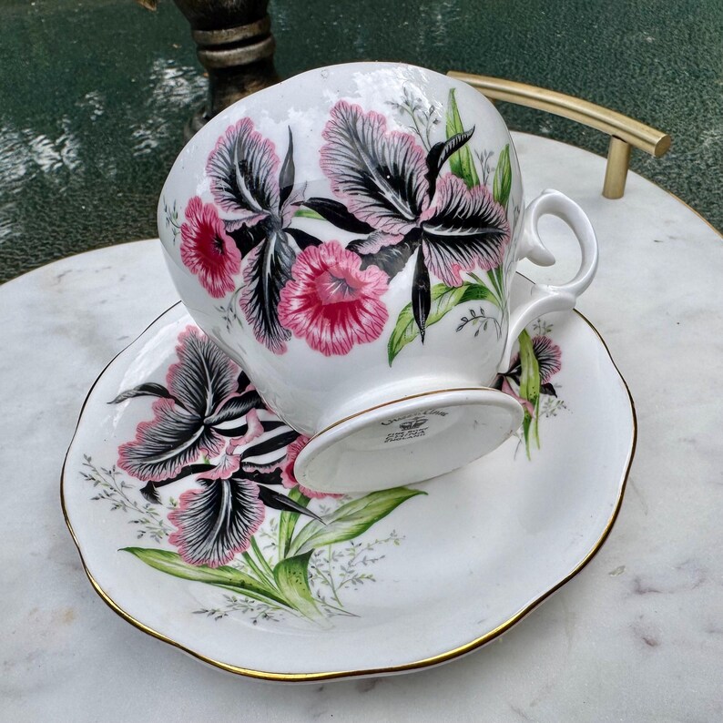 Puede incluir: Juego de taza y platillo blancos con un dise&ntilde;o floral con flores rosas y negras y hojas verdes. La taza y el platillo tienen un borde dorado. La taza est&aacute; apoyada en el platillo.