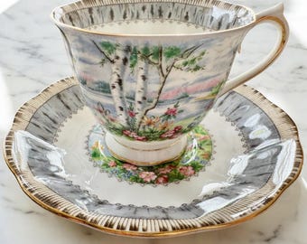 Vintage Royal Albert “Silver Birch” Bone China Teacup & Saucer – Made in England
