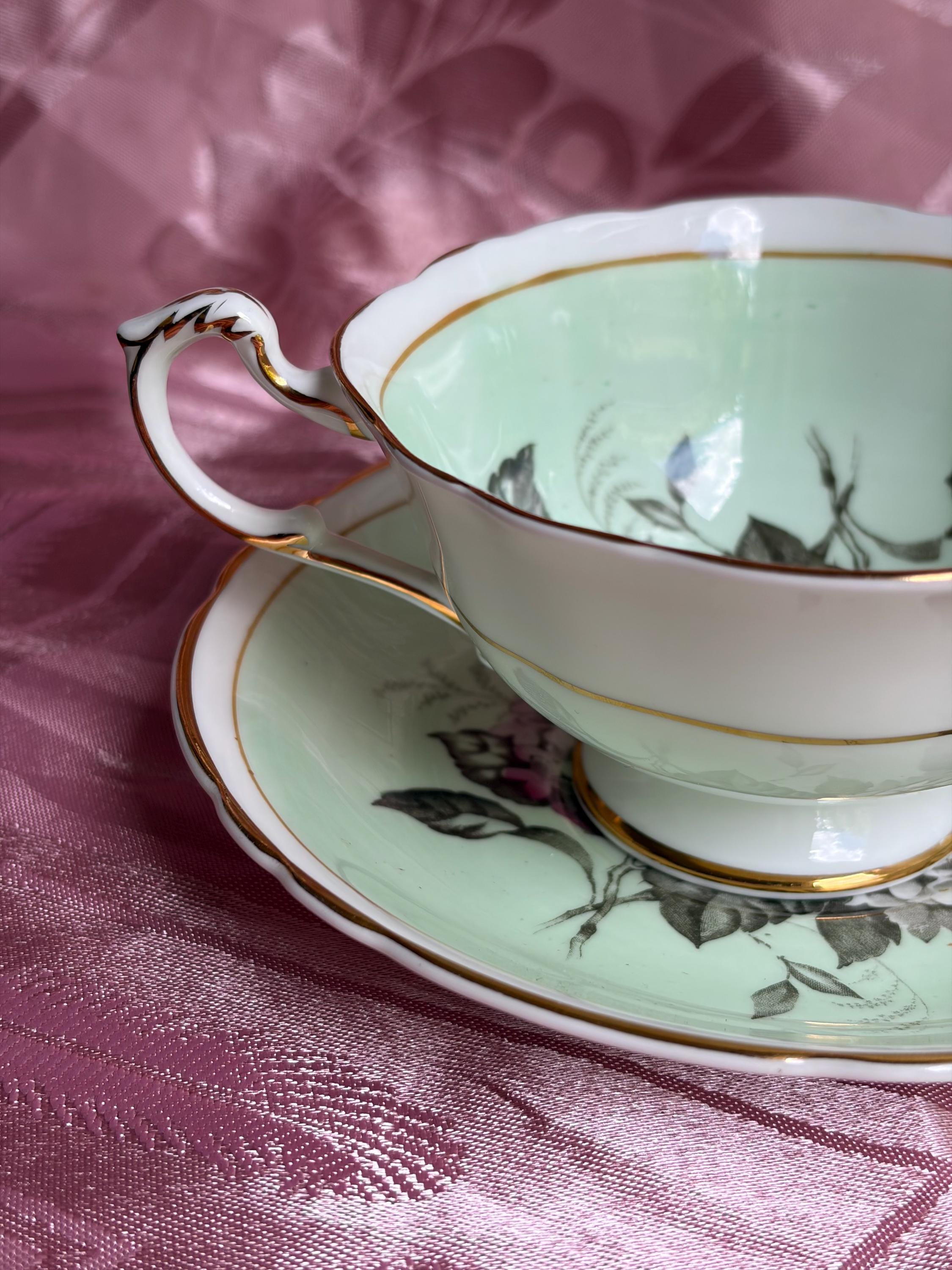 Rare Vintage Paragon Hydrangea Teacup & Saucer – Fine Bone China England