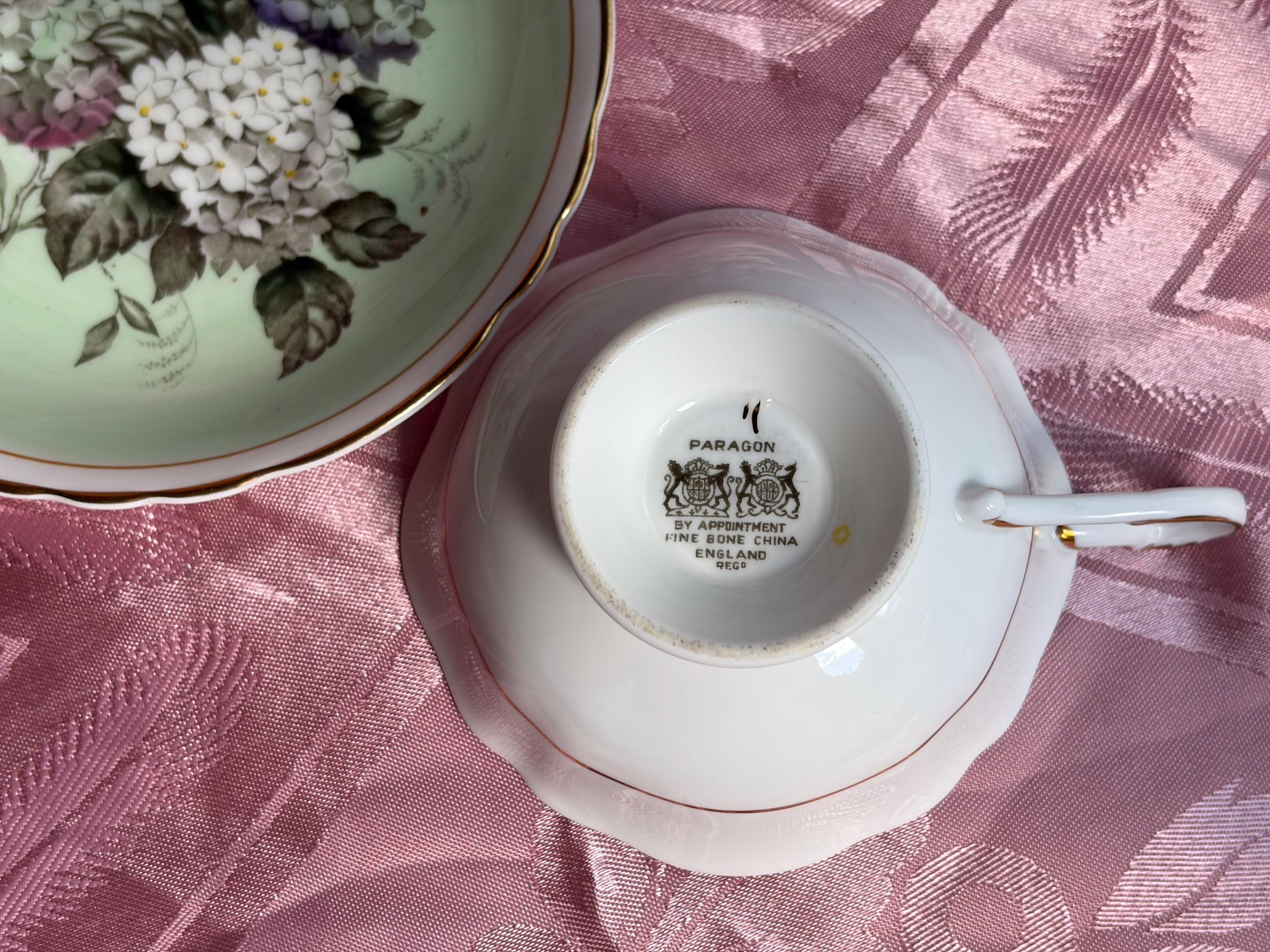 Rare Vintage Paragon Hydrangea Teacup & Saucer – Fine Bone China England