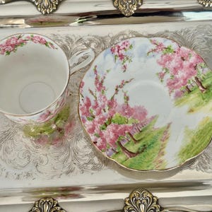 May include: A white teacup and saucer set with a floral design featuring pink blossoms and green foliage. The set is placed on a silver tray with ornate detailing, creating an elegant presentation.