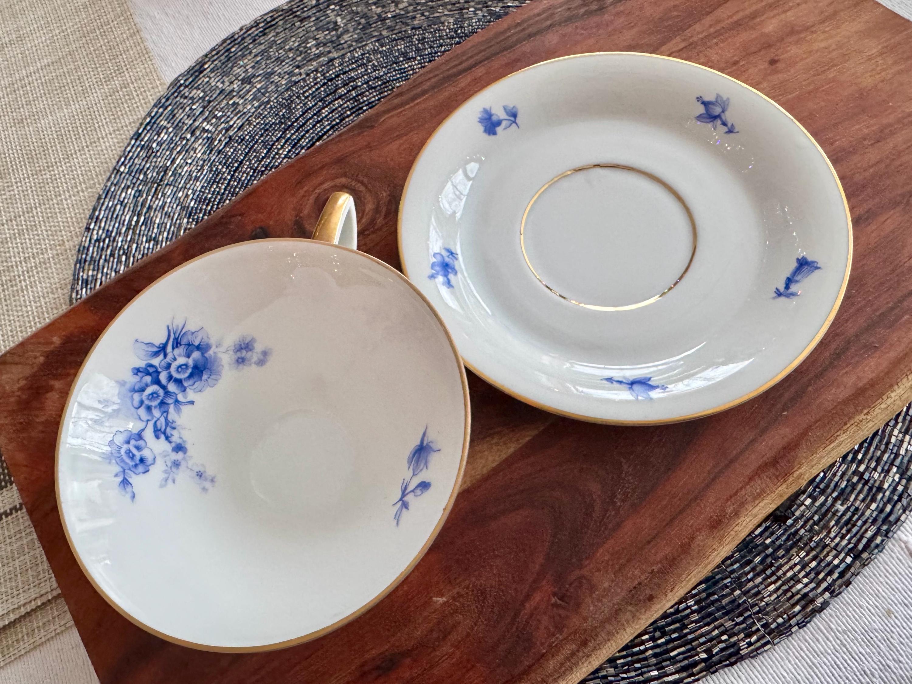 Hutschenreuther Bavaria 2731 Blue Floral Footed Cup & Saucer Set
