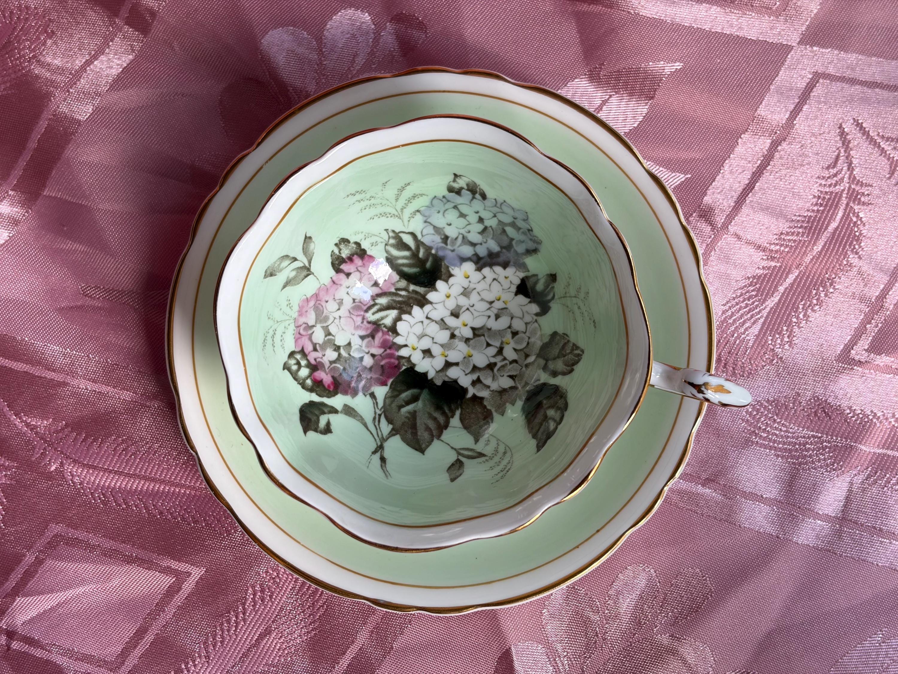 Rare Vintage Paragon Hydrangea Teacup & Saucer – Fine Bone China England
