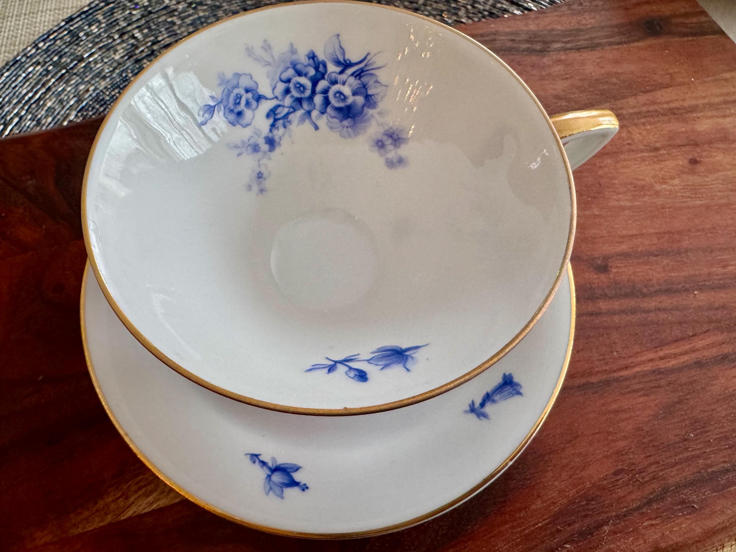 Hutschenreuther Bavaria 2731 Blue Floral Footed Cup & Saucer Set