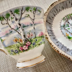 Pu&ograve; includere: Una tazza da t&egrave; e un piattino bianchi con un delicato motivo floreale che presenta betulle, un lago e fiori selvatici. La tazza e il piattino hanno un bordo dorato.