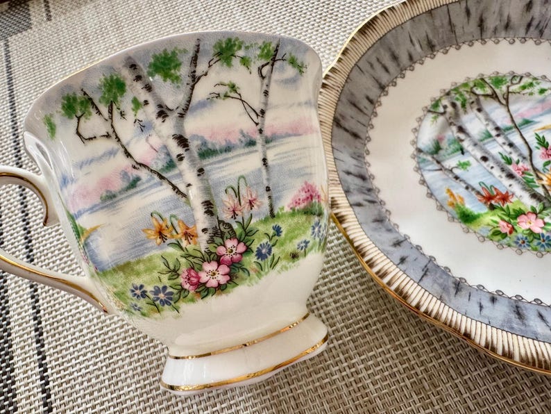 Pu&ograve; includere: Una tazza da t&egrave; e un piattino bianchi con un delicato motivo floreale che presenta betulle, un lago e fiori selvatici. La tazza e il piattino hanno un bordo dorato.