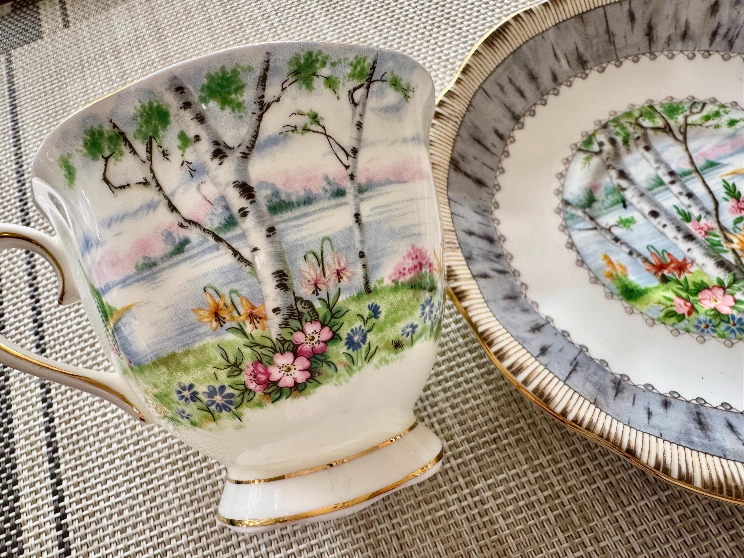 Vintage Royal Albert “Silver Birch” Bone China Teacup & Saucer – Made in England