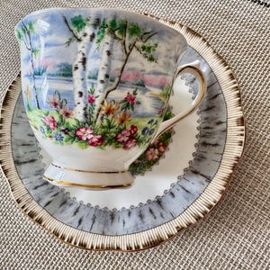 Pu&ograve; includere: Un set vintage di tazza da t&egrave; e piattino con un delicato motivo floreale e un design di betulla. Il piattino ha un motivo di corteccia di betulla grigio e bianco con un bordo dorato.