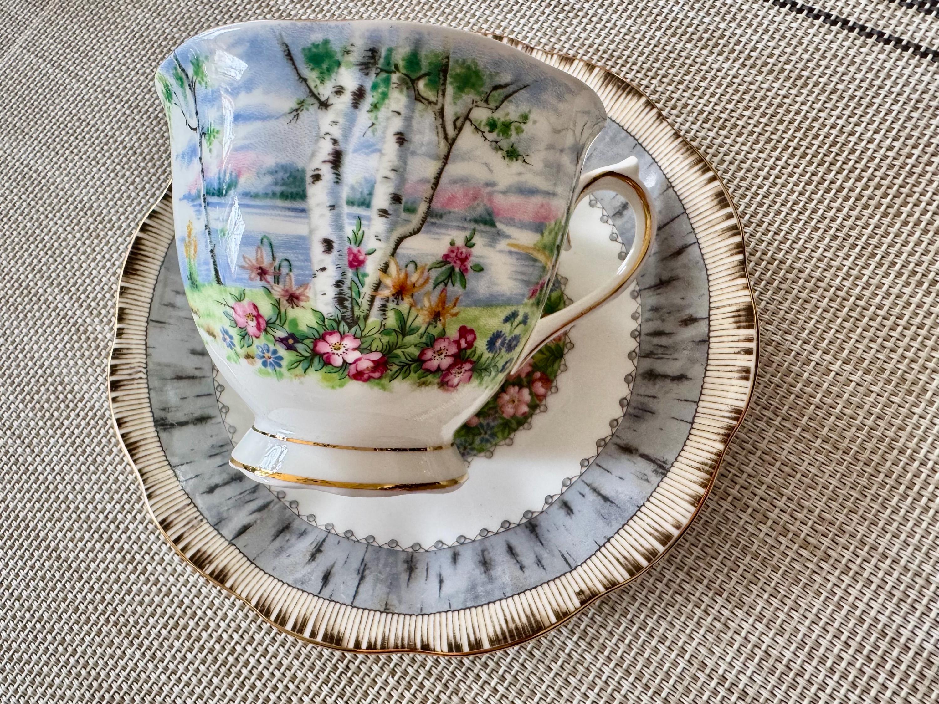 Vintage Royal Albert “Silver Birch” Bone China Teacup & Saucer – Made in England