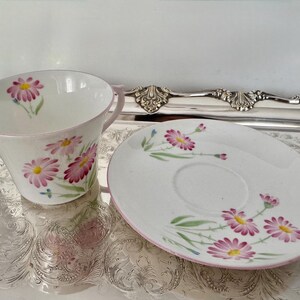 May include: A white teacup and saucer set with a pink floral design. The cup and saucer have a pink trim and are decorated with pink daisies and green leaves. The set is placed on a silver tray.