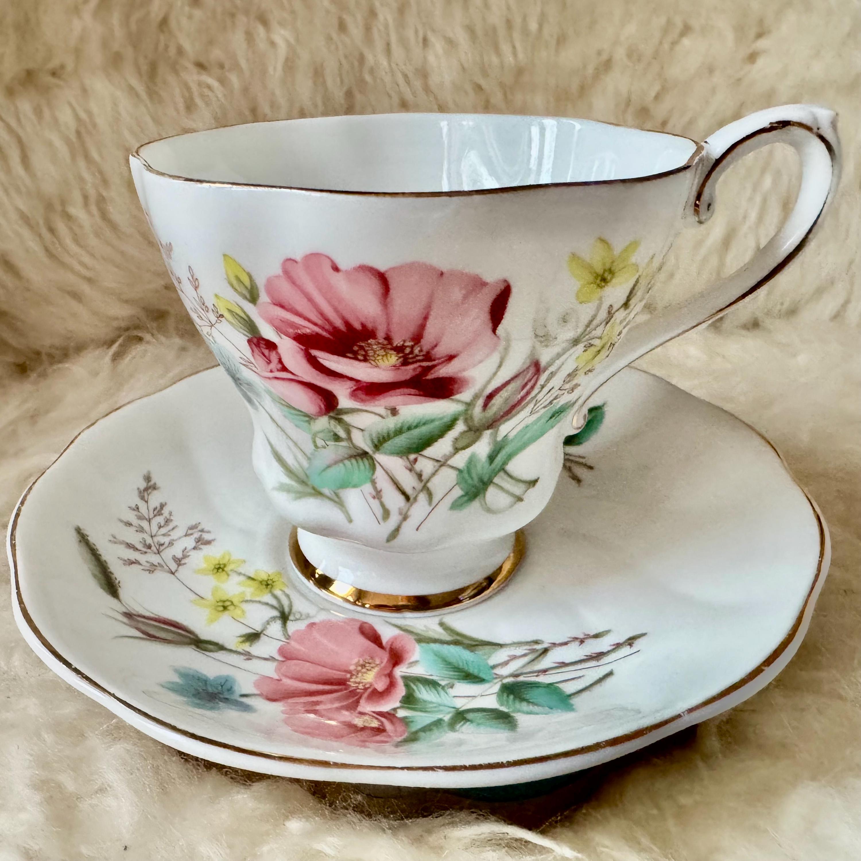 Royal Grafton Fine Bone China Teacup & Saucer – Pink Floral – Made in England