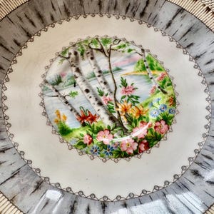 Pu&ograve; includere: Un piattino in porcellana bianca con un bordo a motivo di corteccia di betulla grigia e bianca. Il centro presenta una scena dipinta di betulle, un lago e fiori in tonalit&agrave; di rosa, giallo e blu.