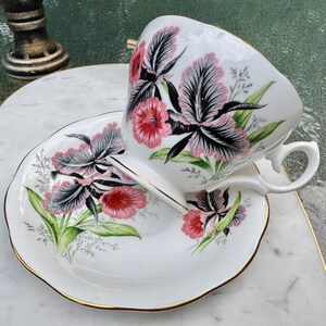 Puede incluir: Juego de taza y platillo blancos con un dise&ntilde;o floral de flores rosas y negras y hojas verdes. La taza y el platillo tienen ribete dorado. La taza est&aacute; inclinada, apoyada en el platillo.