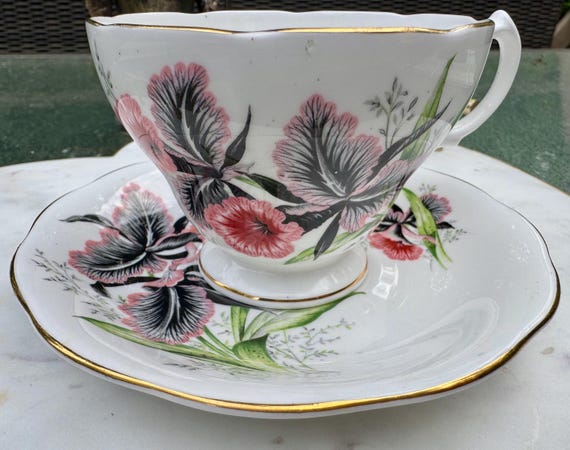 Vintage Queen Anne Bone China Teacup & Saucer – Dramatic Pink Black Orchid Blooms