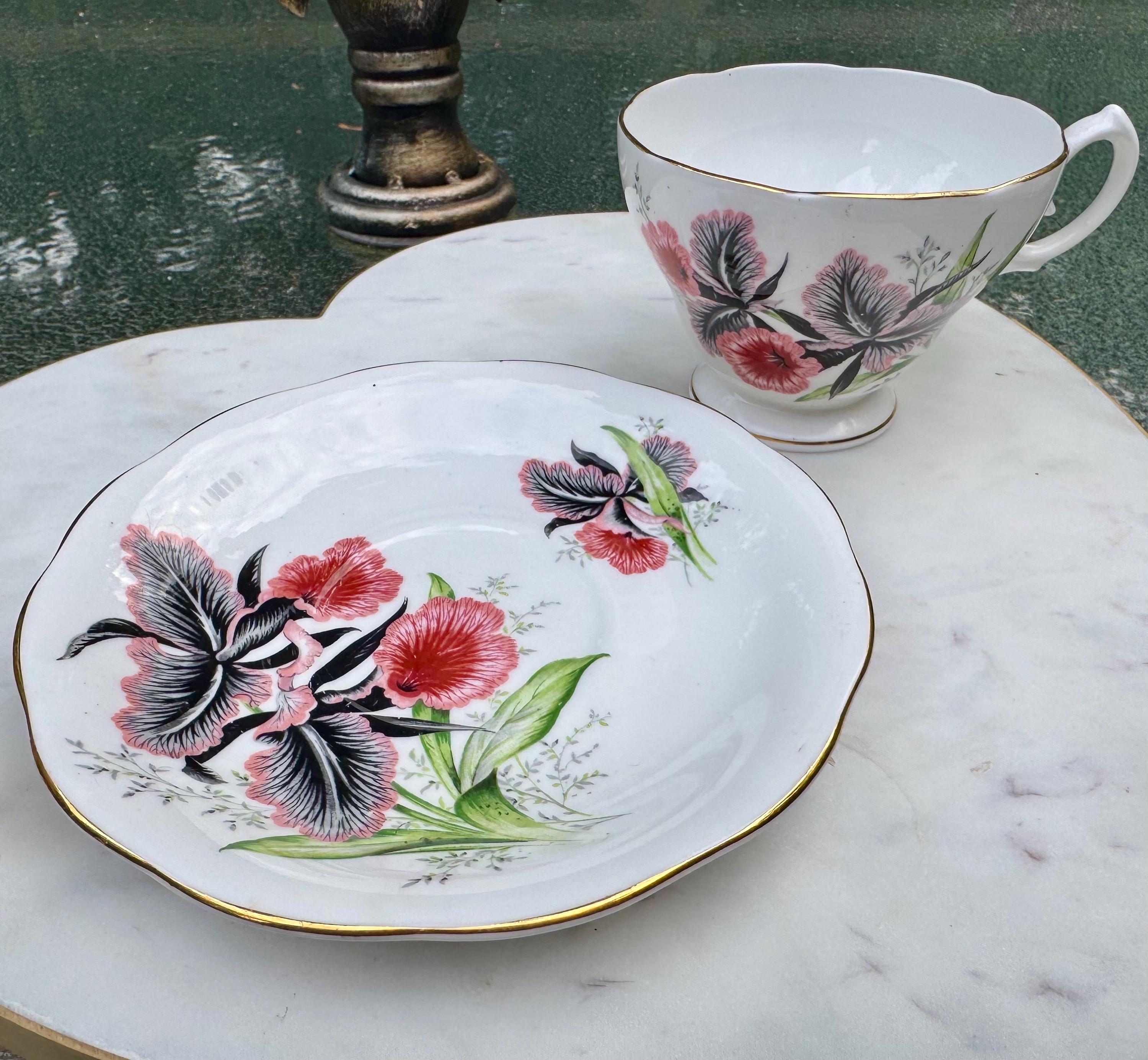 Vintage Queen Anne Bone China Teacup & Saucer – Dramatic Pink Black Orchid Blooms