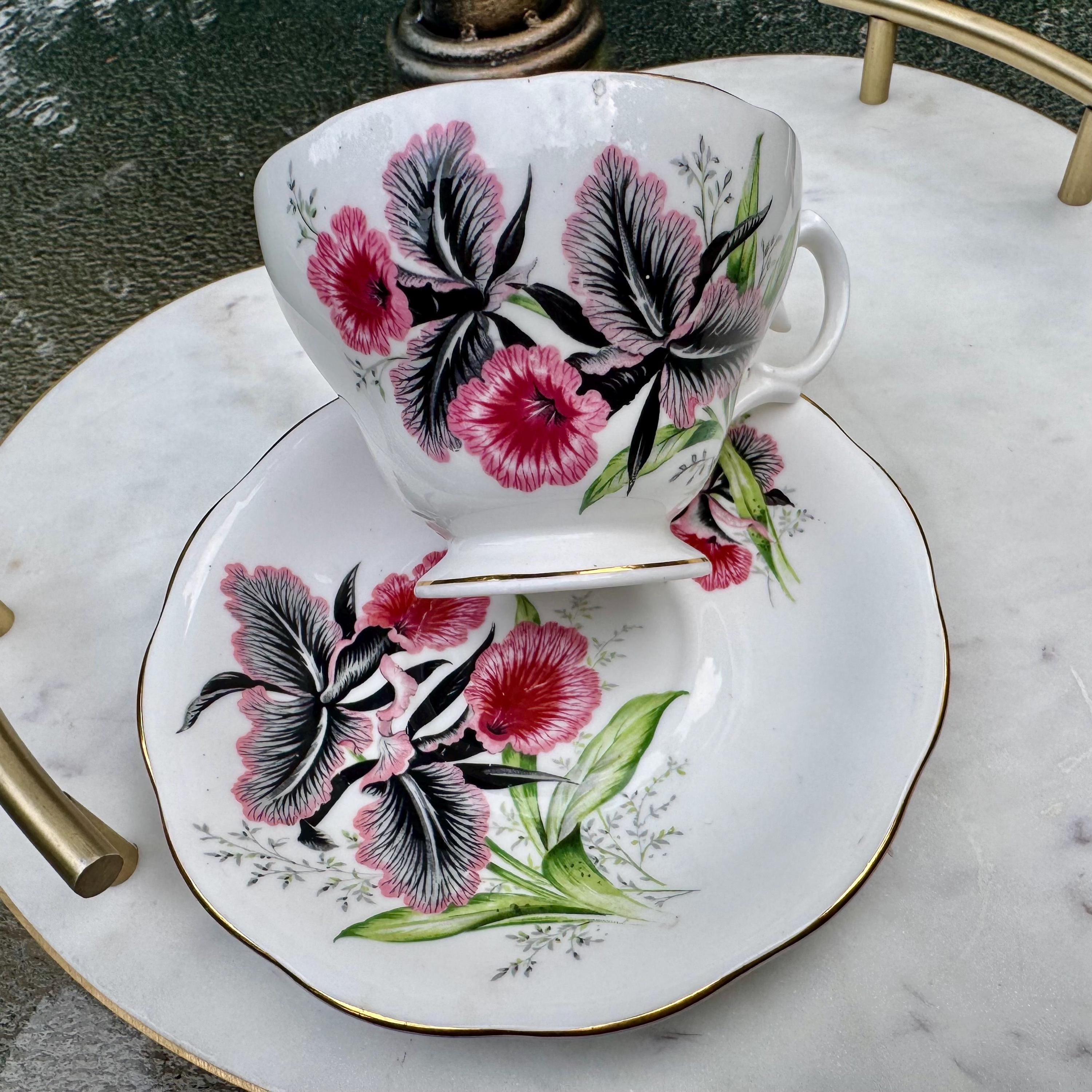 Vintage Queen Anne Bone China Teacup & Saucer – Dramatic Pink Black Orchid Blooms