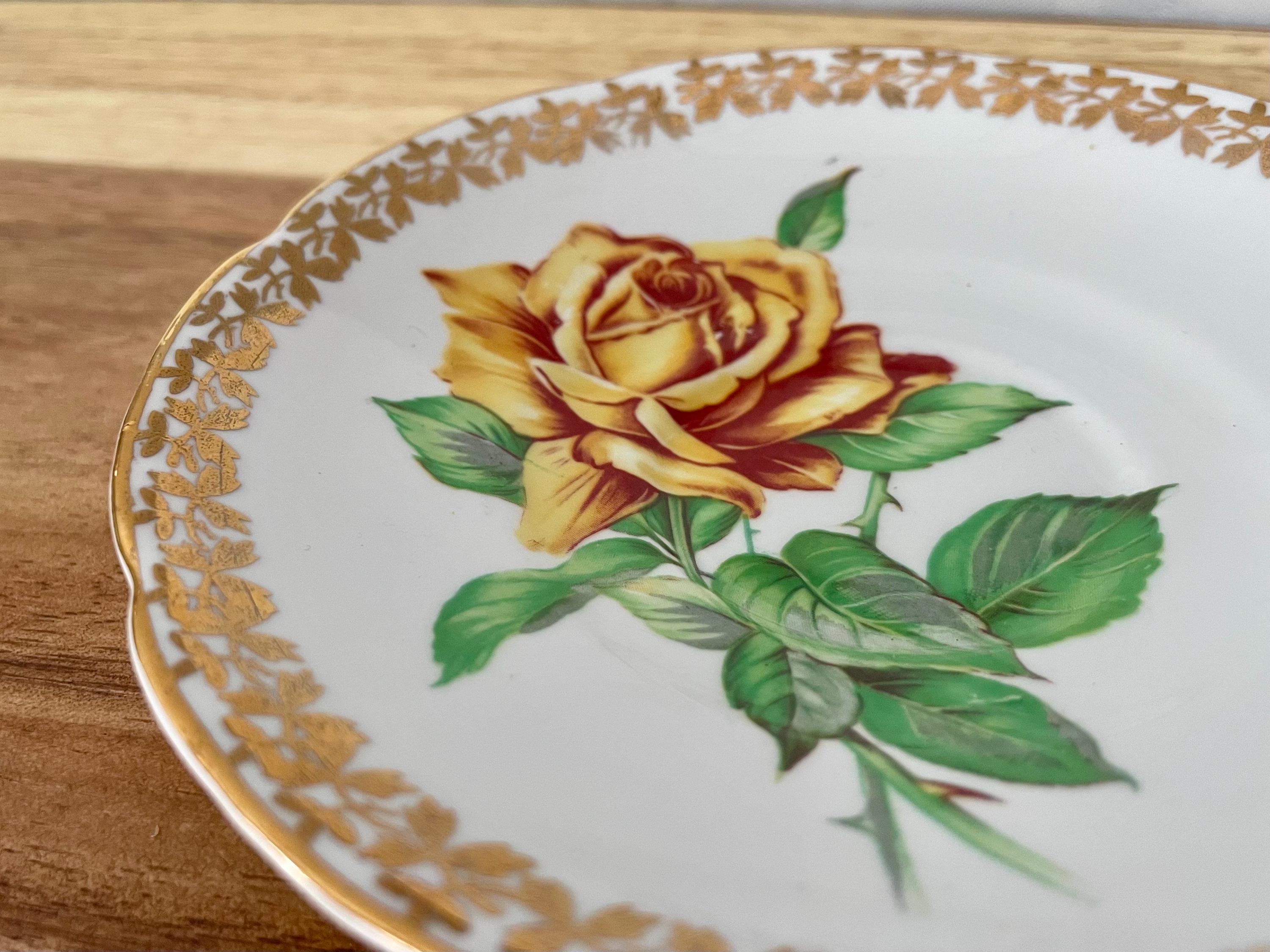 Vintage Collingwood Bone China Cup & Saucer – Select Pink Rose or Golden Rose – England