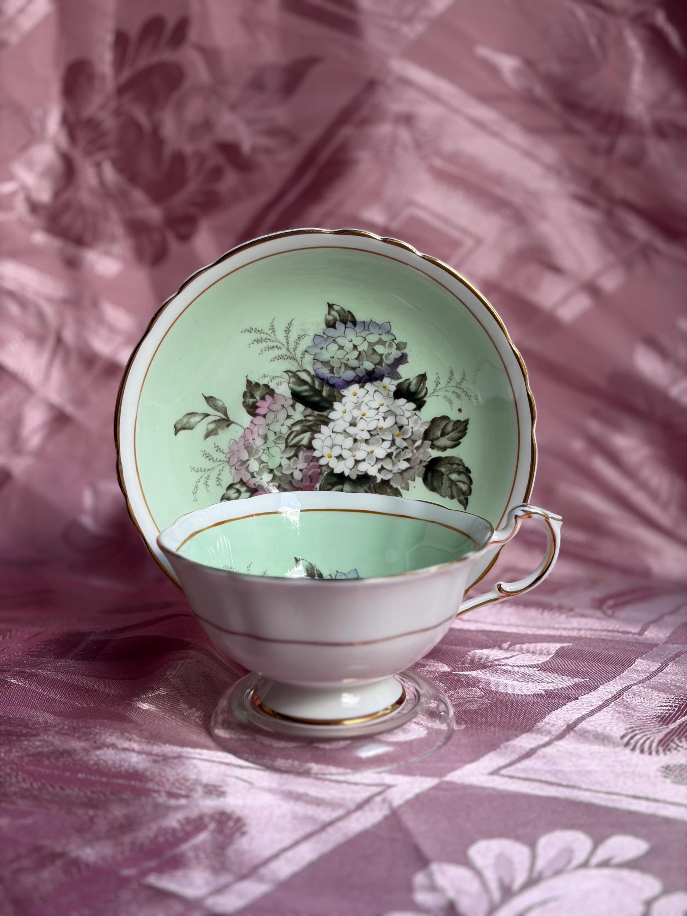 Rare Vintage Paragon Hydrangea Teacup & Saucer – Fine Bone China England