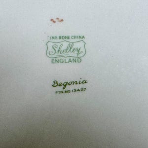 May include: Close-up of a white fine bone china plate with the Shelley England logo in green. The plate is marked "Begonia" and "PTN.NO.134-27". There are small red markings at the top.