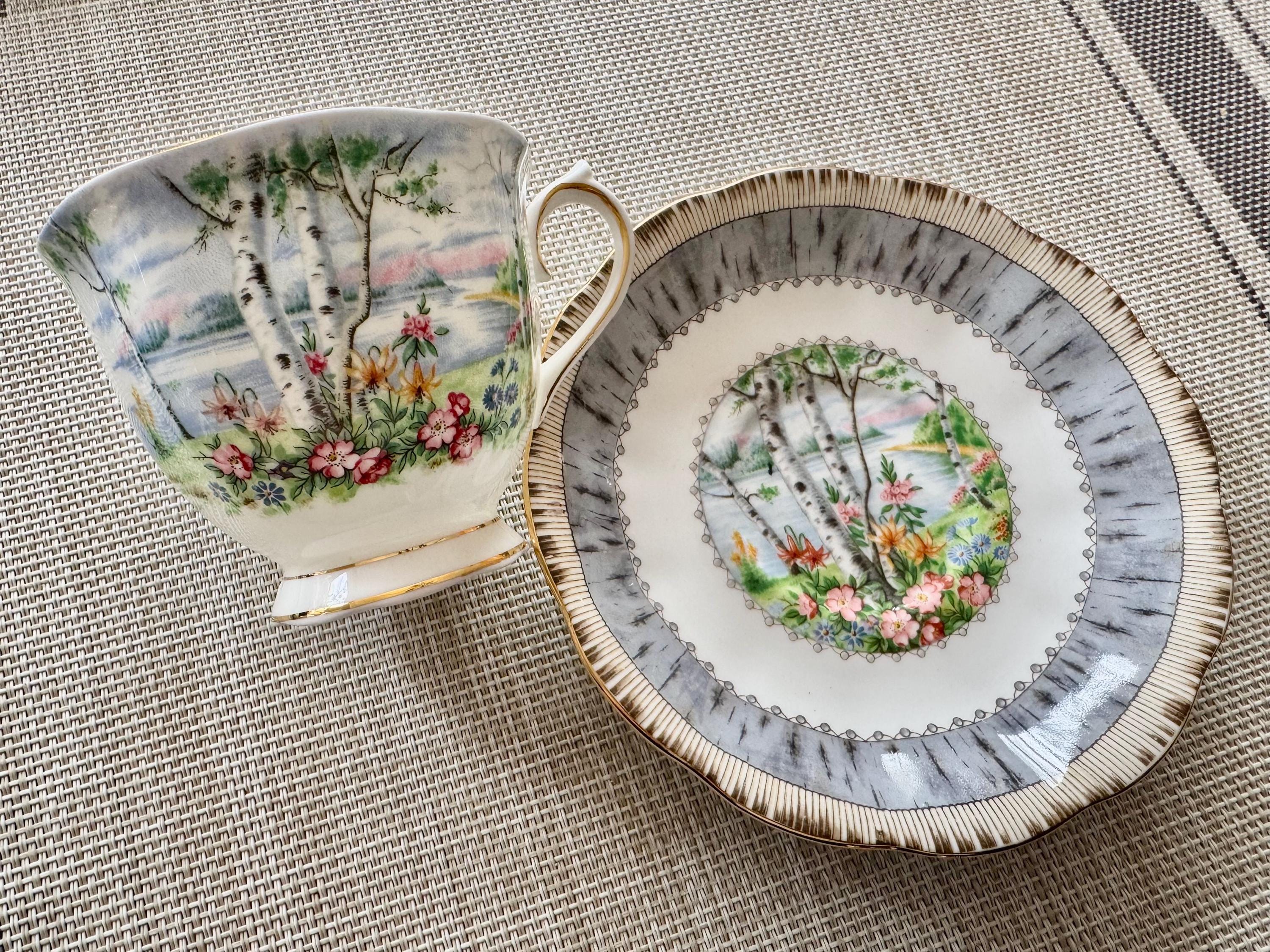Vintage Royal Albert “Silver Birch” Bone China Teacup & Saucer – Made in England