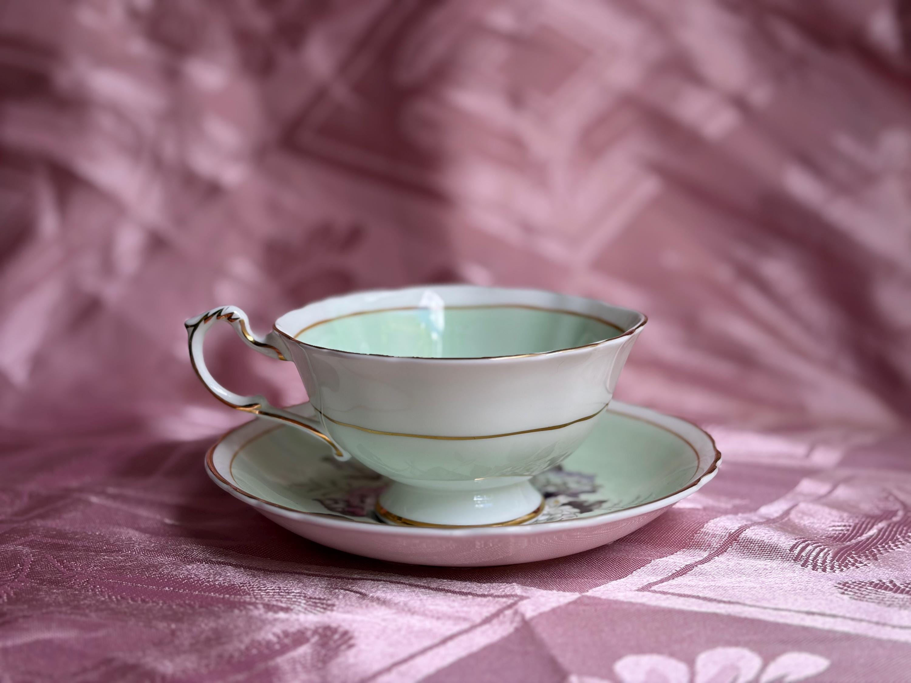 Rare Vintage Paragon Hydrangea Teacup & Saucer – Fine Bone China England