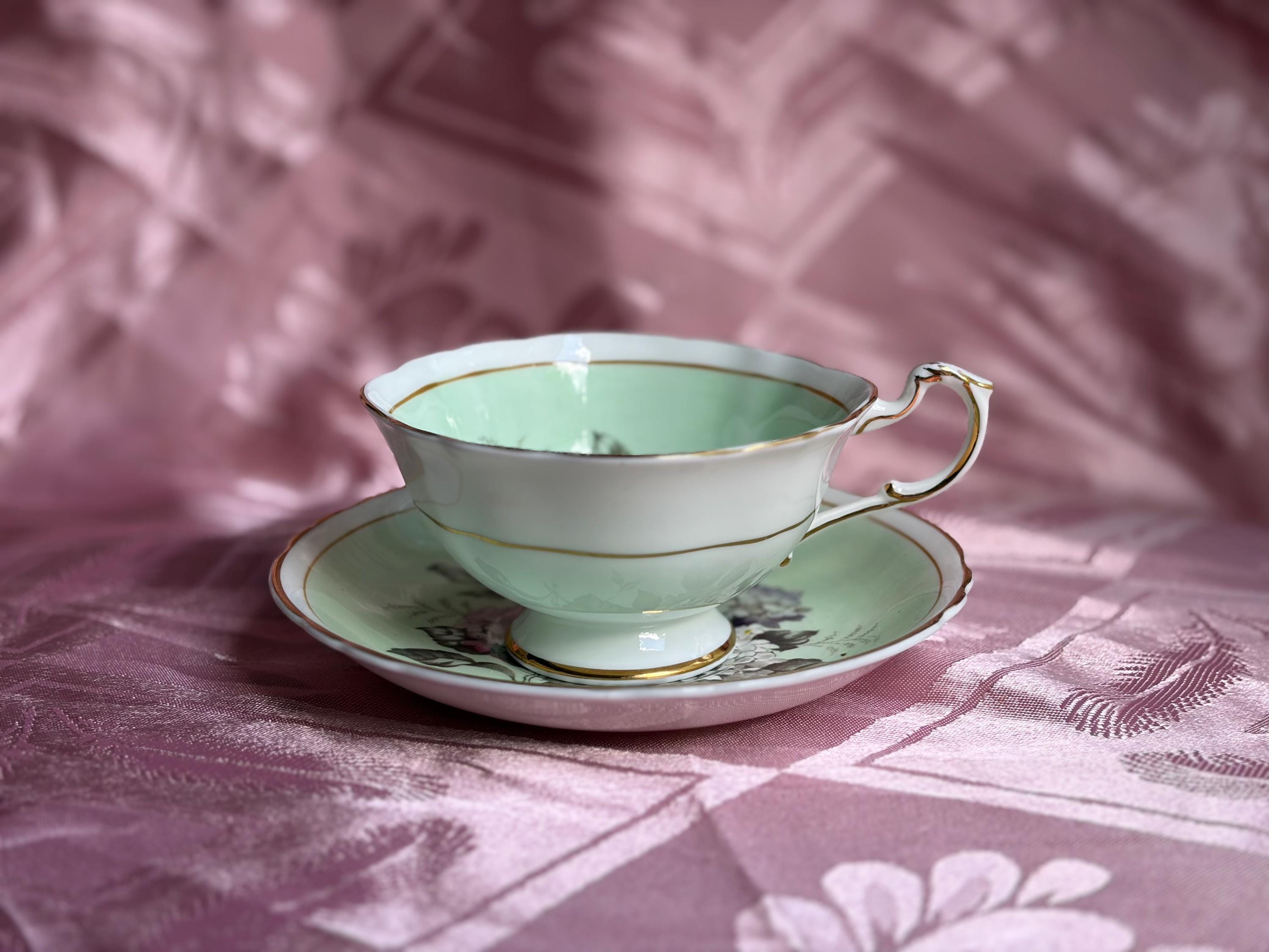 Rare Vintage Paragon Hydrangea Teacup & Saucer – Fine Bone China England