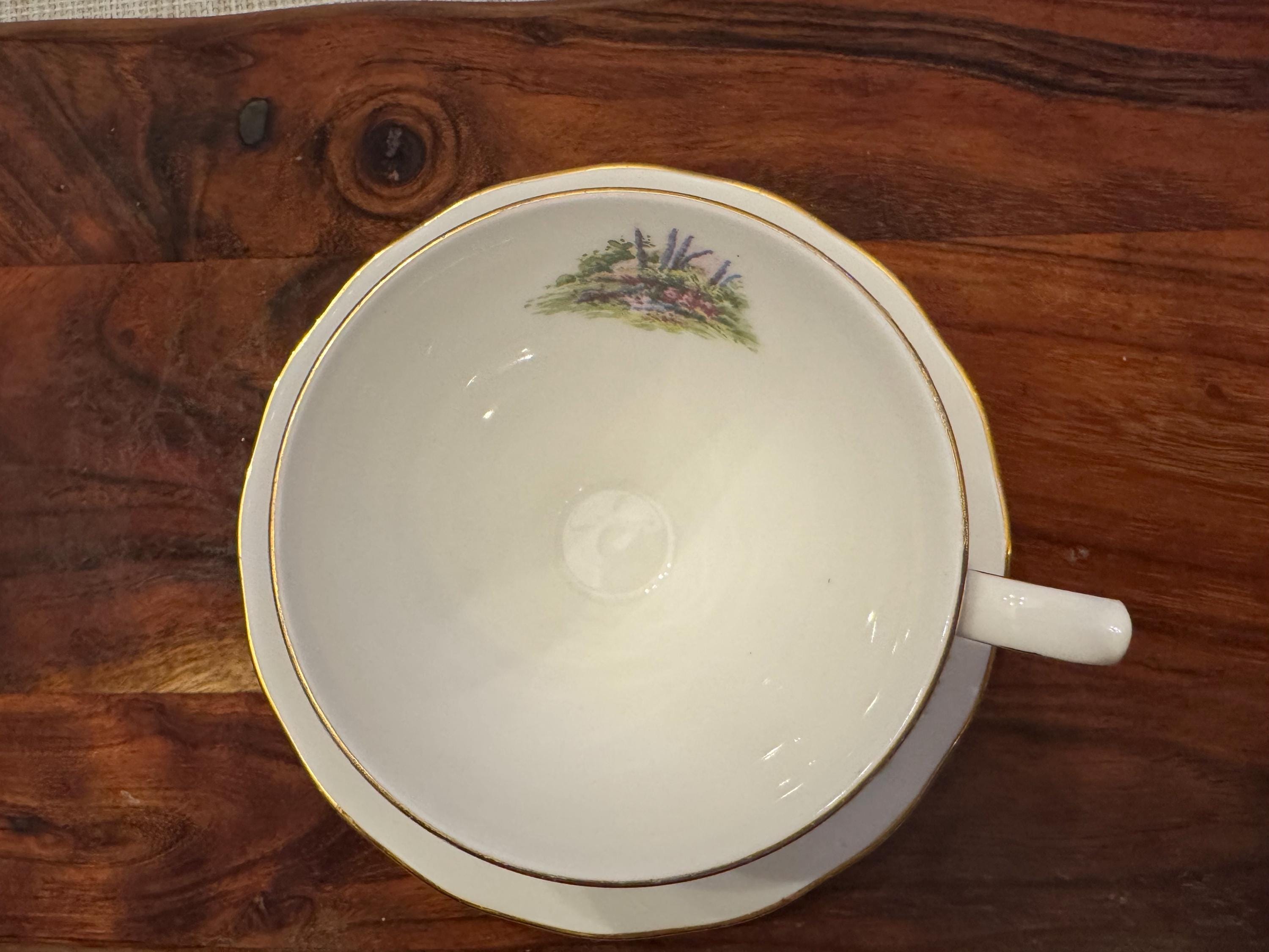 Vintage Royal Vale Countryside Houses Tea Cup and Saucer Set - Fine Bone China