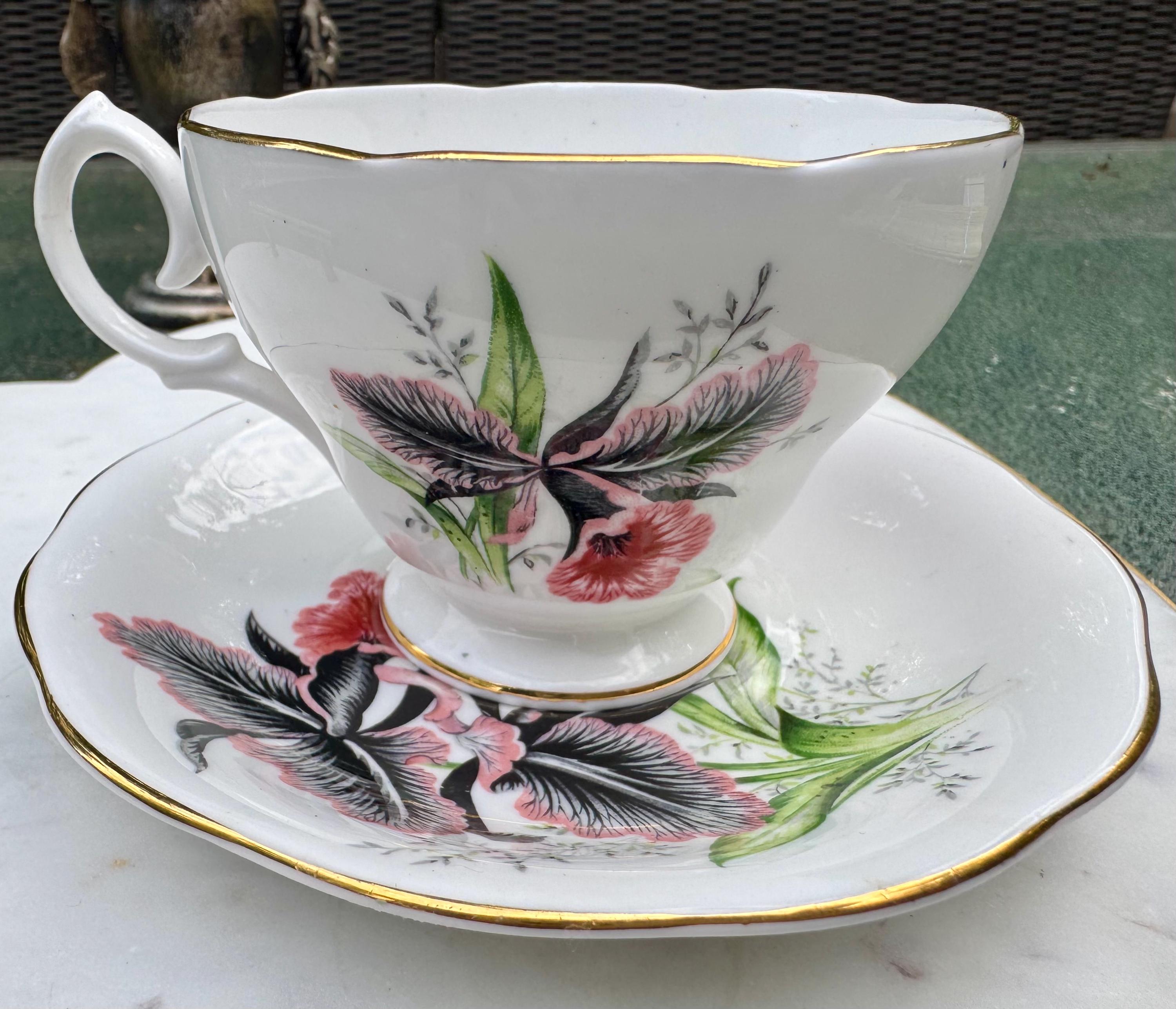 Vintage Queen Anne Bone China Teacup & Saucer – Dramatic Pink Black Orchid Blooms