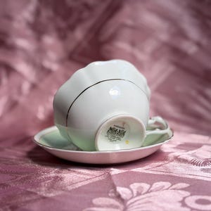 Rare Vintage Paragon Hydrangea Teacup & Saucer – Fine Bone China England image 8