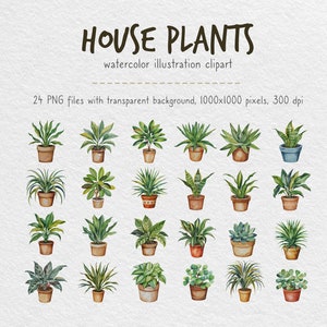 Lot de cliparts verdure aquarelle. Collection numérique botanique PNG. Ensemble de plantes d'intérieur. Illustration d'arbre succulent, d'aloès, à feuilles persistantes, d'argent.