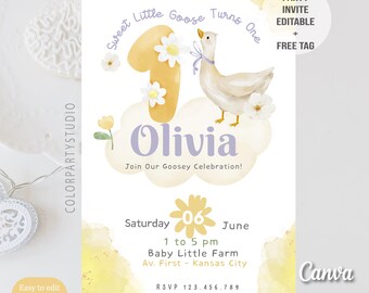 One Silly Goose Birthday Invitation, 1st Birthday Girl Invite, Goose Theme Template, Floral Silly Goose, Pink Gingham Goose Party Invite