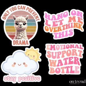 Funny Sticker Pack | Retro Vinyl Stickers | Waterproof Decals for Water Bottles and Laptops | Mental Health & Quote Stickers